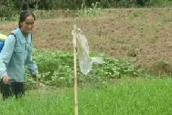 除草剂混用有哪些好处?混用时需要注意什么?